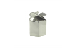 SILVER Matt Foil Gift Boxes 